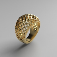 cribriform ring - Thumbnail 21