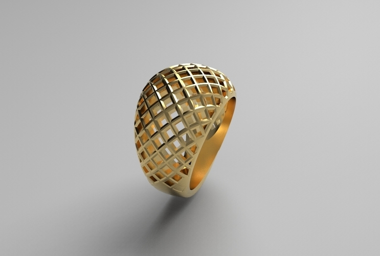 cribriform ring 3D Print 494798