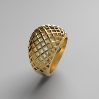 cribriform ring - Thumbnail 22