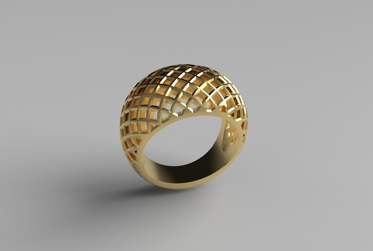 cribriform ring 3D Print 494799