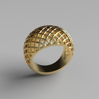 cribriform ring - Thumbnail 23