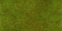 Image 494866