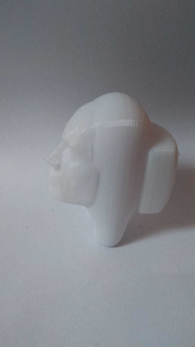 ROCKTOSUS 3D Print 495202