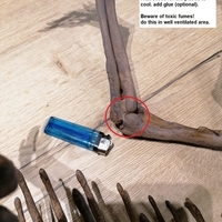 Dinosaur skeleton - Psittacosaurus - Thumbnail 5