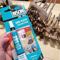 Dinosaur skeleton - Psittacosaurus - Thumbnail 6