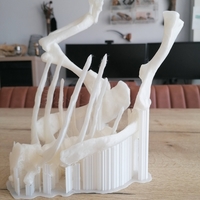 Dinosaur skeleton - Psittacosaurus - Thumbnail 7