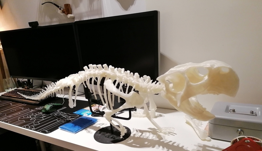 Dinosaur skeleton - Psittacosaurus 3D Print 495363