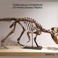Dinosaur skeleton - Psittacosaurus - Thumbnail 10