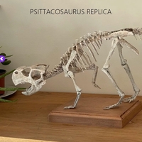 Small Dinosaur skeleton - Psittacosaurus 3D Printing 495365
