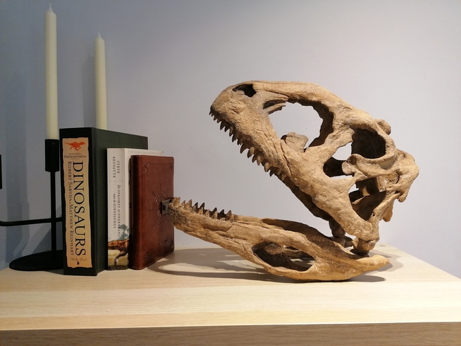 Dinosaur Skull - Majungasaurus 3D Print 495377