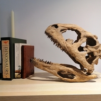 Small Dinosaur Skull - Majungasaurus 3D Printing 495377