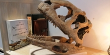 Image 495378