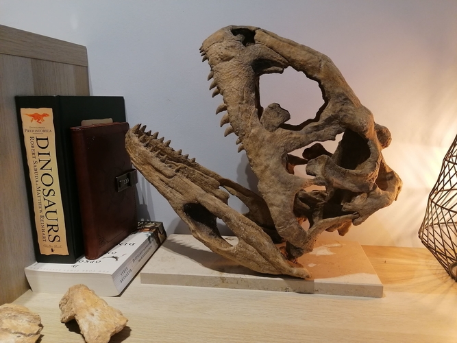 Dinosaur Skull - Majungasaurus 3D Print 495380