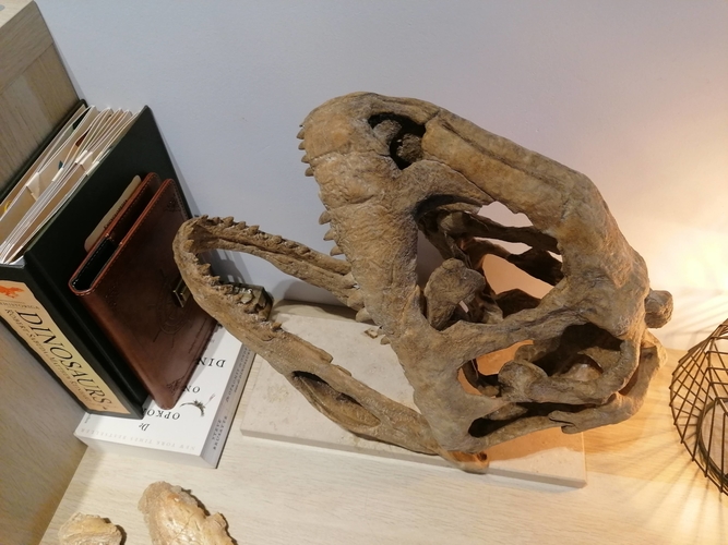 Dinosaur Skull - Majungasaurus 3D Print 495382