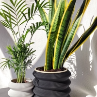 Omega Planters - Thumbnail 7