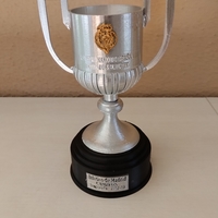 Small Trofeo Copa del Rey  3D Printing 495917