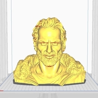 Small Buste Rick Grimes (Walking Dead) 3D Printing 496175