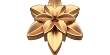 Image 496545
