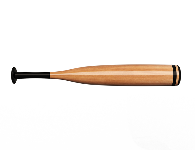 Baseball Bat 3D Print 496876