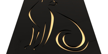 Image 497167