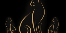 Image 497168