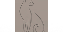 Image 497169