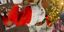 Image 497855
