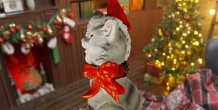 Image 497856