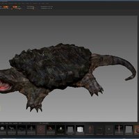 Snapping Turtle - Thumbnail 3