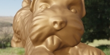 Image 497884
