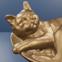 Cat sleep - Thumbnail 1