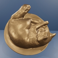 Cat sleep - Thumbnail 3