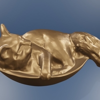 Cat sleep - Thumbnail 5