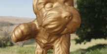 Image 497916