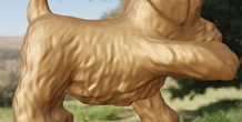 Image 497919