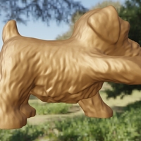 dog gives paw - Thumbnail 4