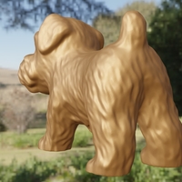 dog gives paw - Thumbnail 5