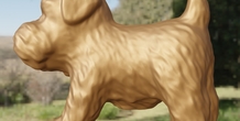 Image 497921