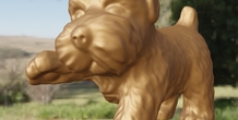Image 497922