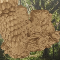 Tree owl - Thumbnail 3