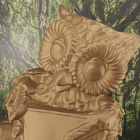 Tree owl - Thumbnail 5