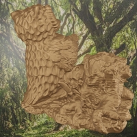 Tree owl - Thumbnail 8
