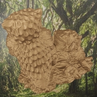 Tree owl - Thumbnail 9