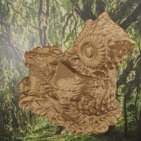 Tree owl - Thumbnail 10