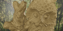 Image 497936