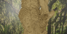 Image 497937