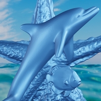 Dolphin star  - Thumbnail 5