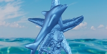 Image 497949