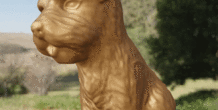 Image 497952