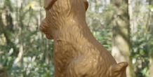 Image 497954